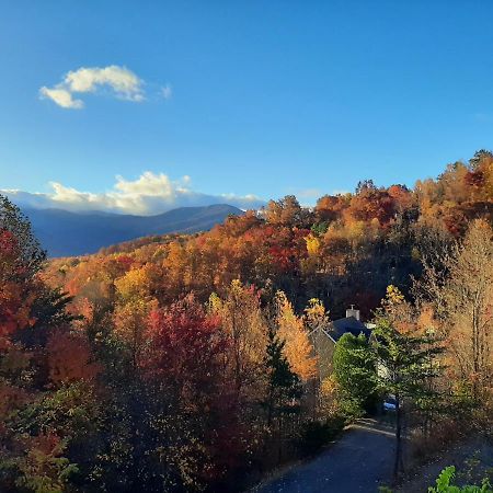 3 Decks, Mtn Views! Tree Tops By Honeybearcabins - Luxury Rain Showers, 3 King Suites, Xl Hottub, Fireplace, Bear Sightings Gatlinburg Ngoại thất bức ảnh